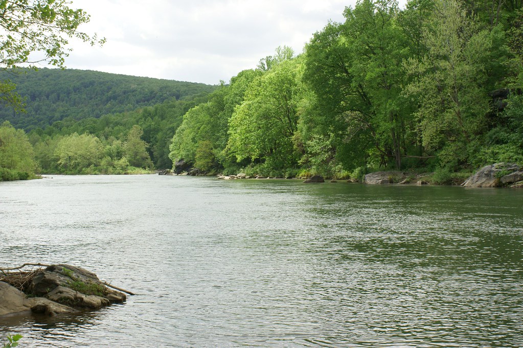 4594399882_7f00afa34c_b.jpg