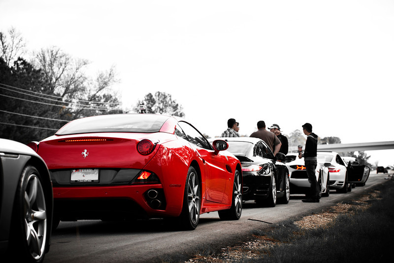 DSC3348-L.jpg