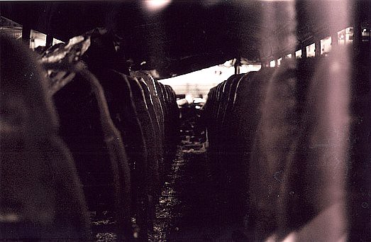 4710753379_de4413d440_b.jpg