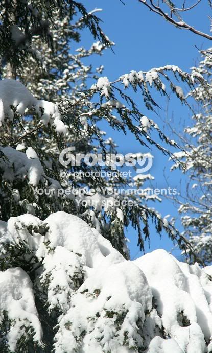 Snow14.jpg