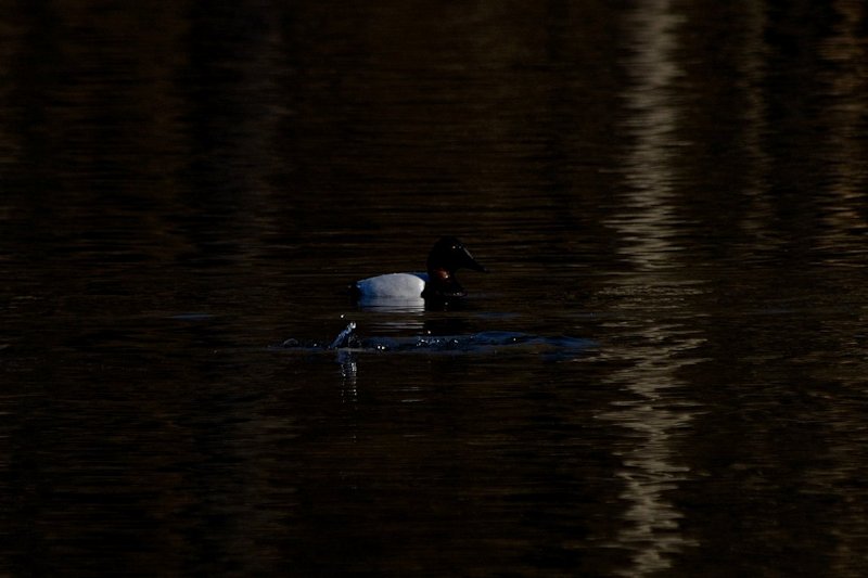 2013_00199.jpg