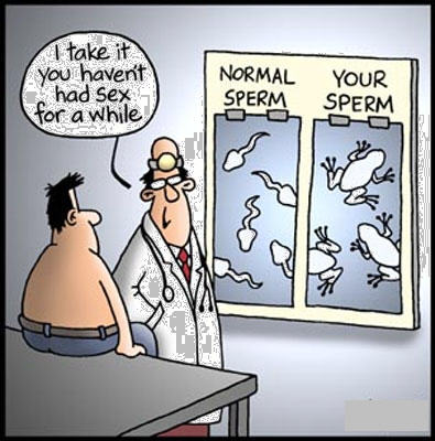 ss-sperm.jpg