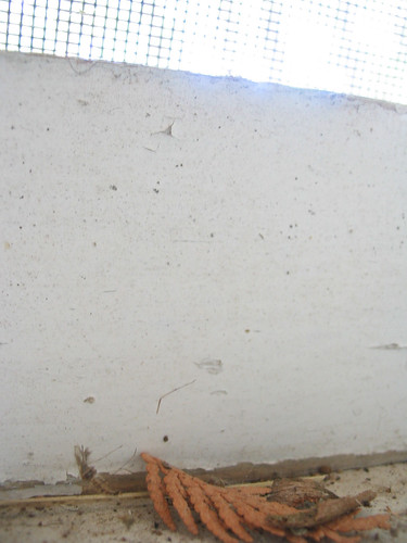 2742496874_75fe073c12.jpg