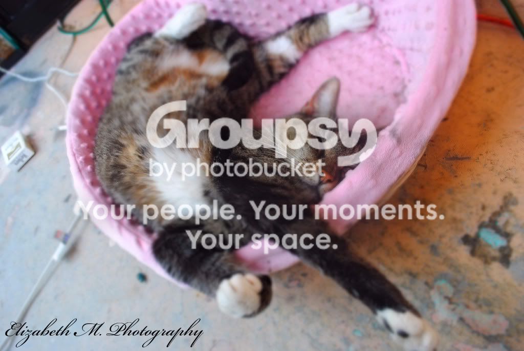 picsdonebylizzy6752.jpg