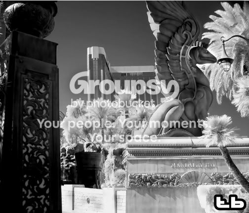 infared_001.jpg