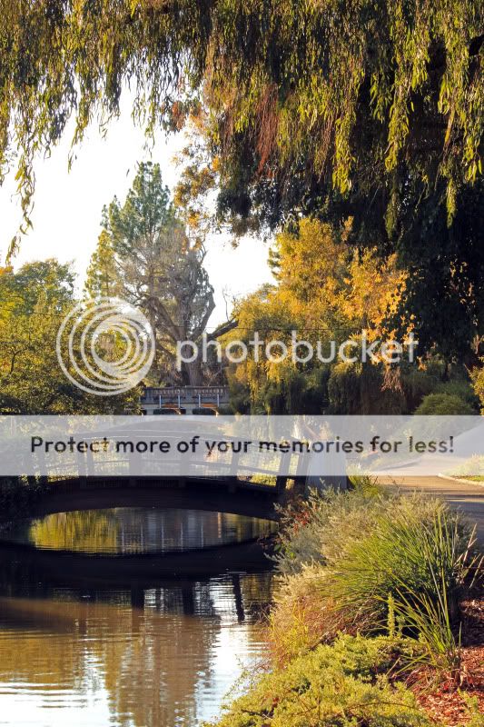 IMG_1230editcopy.jpg