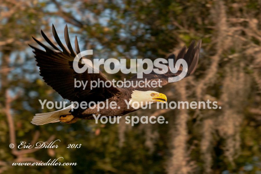 _EEE2145-copy900.jpg