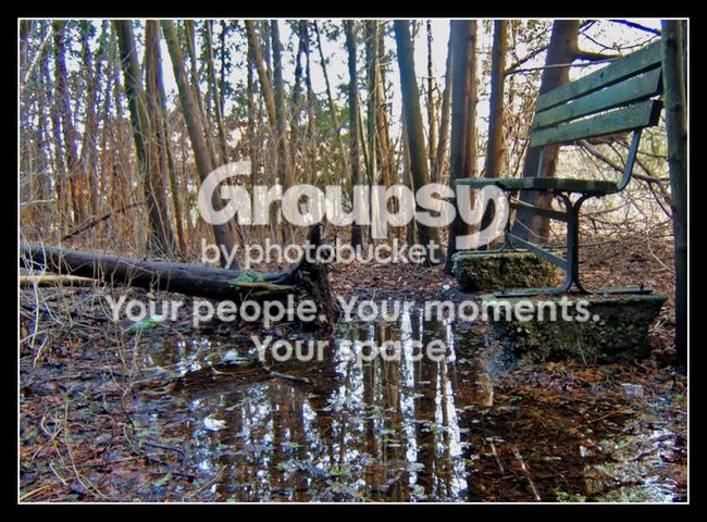 weird_bench.jpg