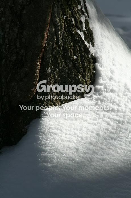 Snow13.jpg