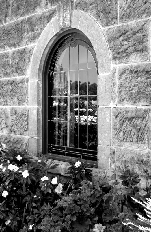 Window.jpg