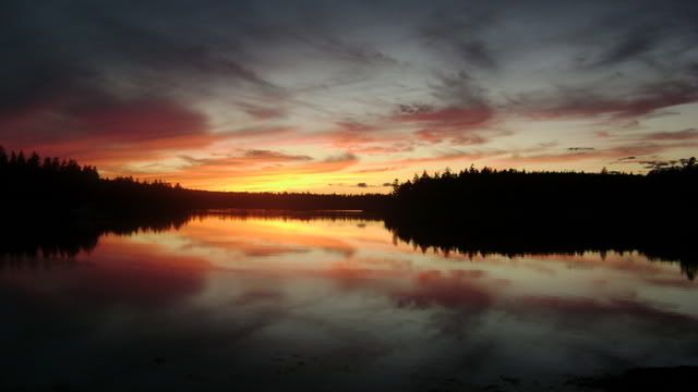 mainer255.jpg