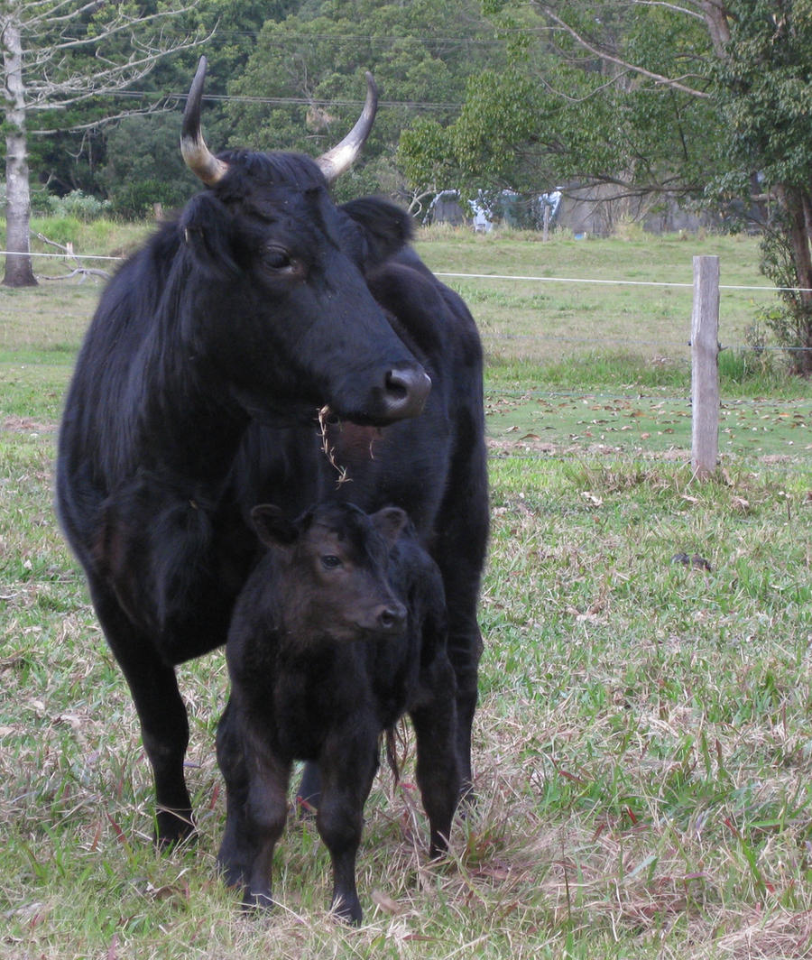 Mother_and_Son_by_bekkkk.jpg