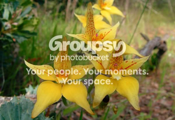 Portfolio014b.jpg
