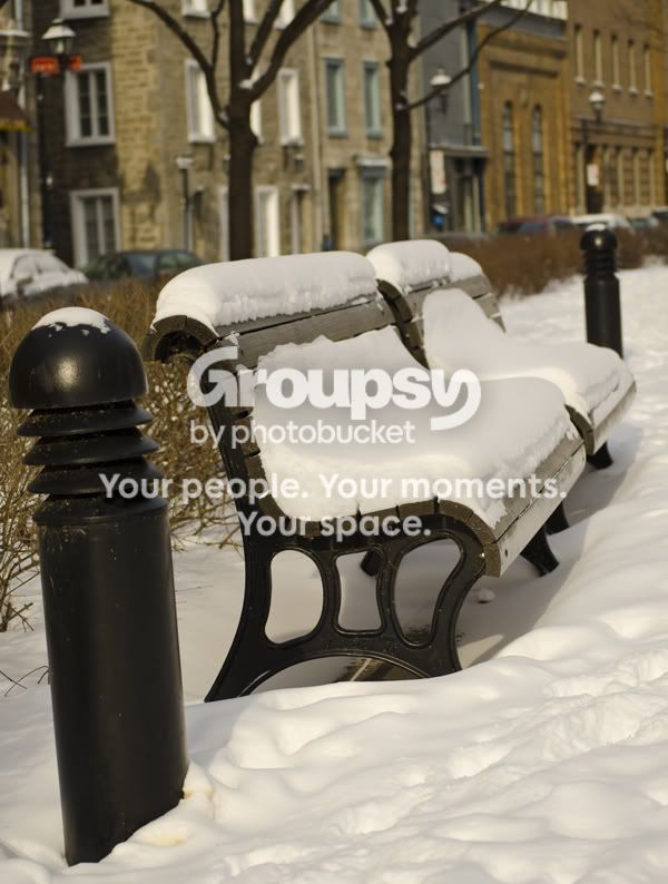 0121_snowybench_notcropped.jpg
