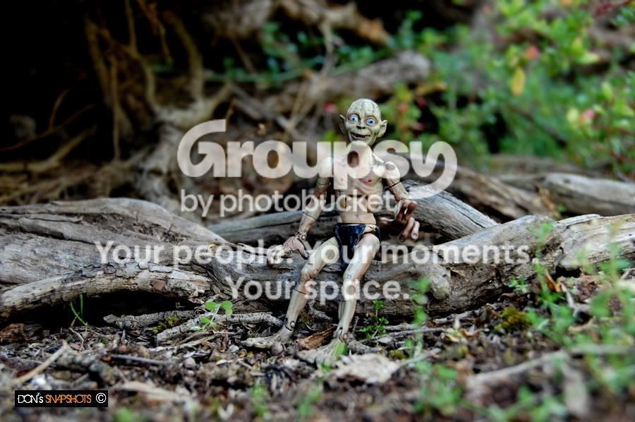 test4009copy.jpg