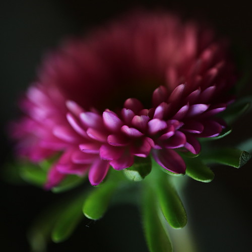 5479564327_7f0575c084.jpg