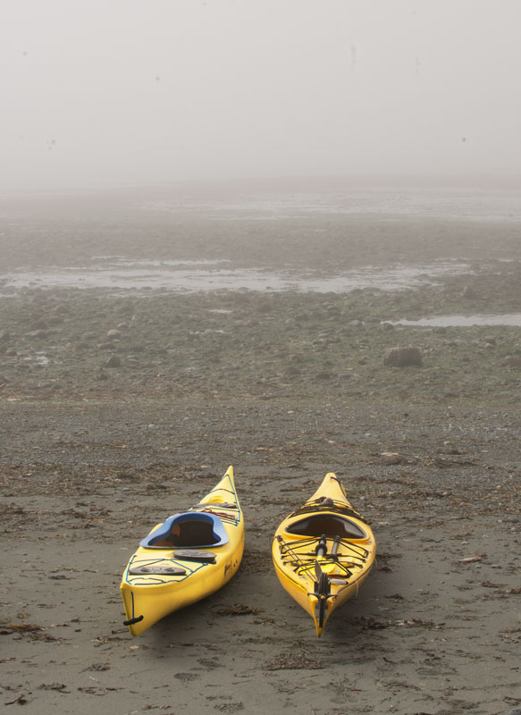 Kayaks.jpg