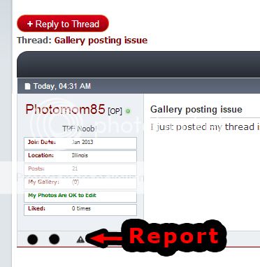 ReportTriangle_zpsae36652c.jpg