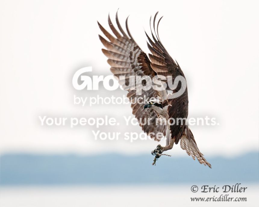 _ECD6037-copy860.jpg