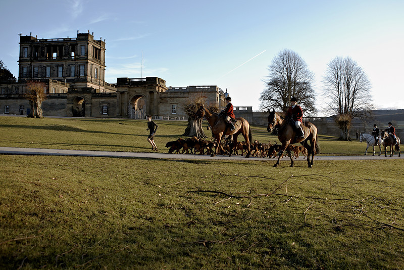 IMG7268crop-L.jpg