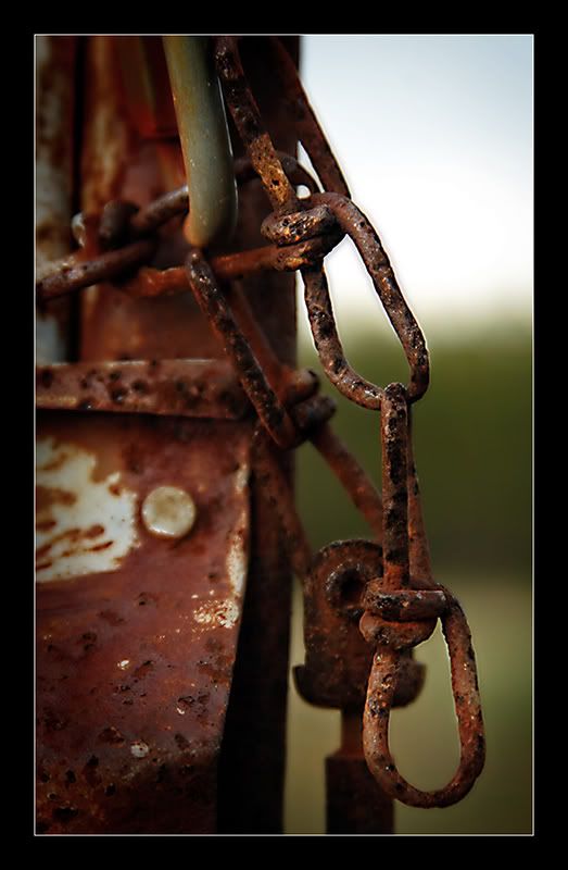 decay_contest1.jpg