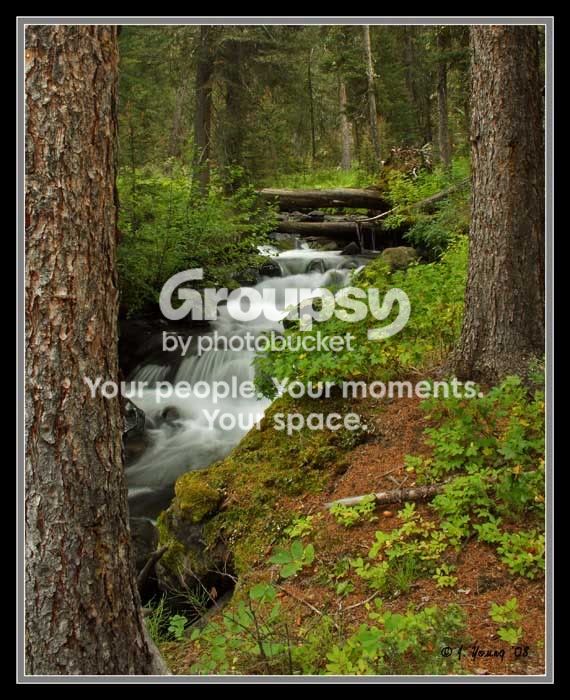 mountainstream1.jpg