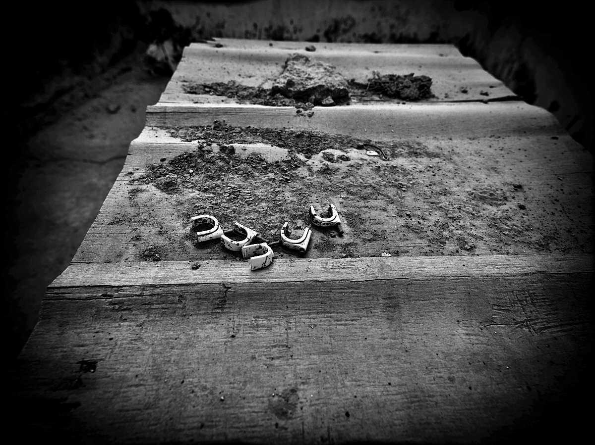 highres_63608392.jpeg