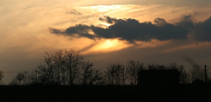IMG_0653crop2.JPG