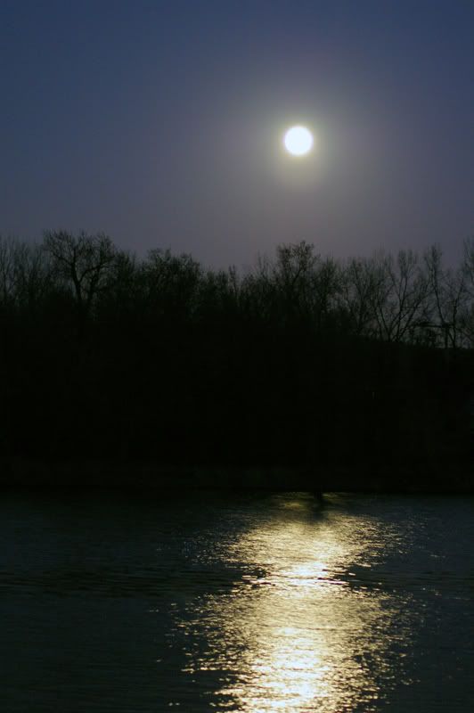 moonoverthecedar.jpg