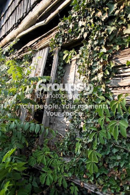 GreenCabin-2.jpg