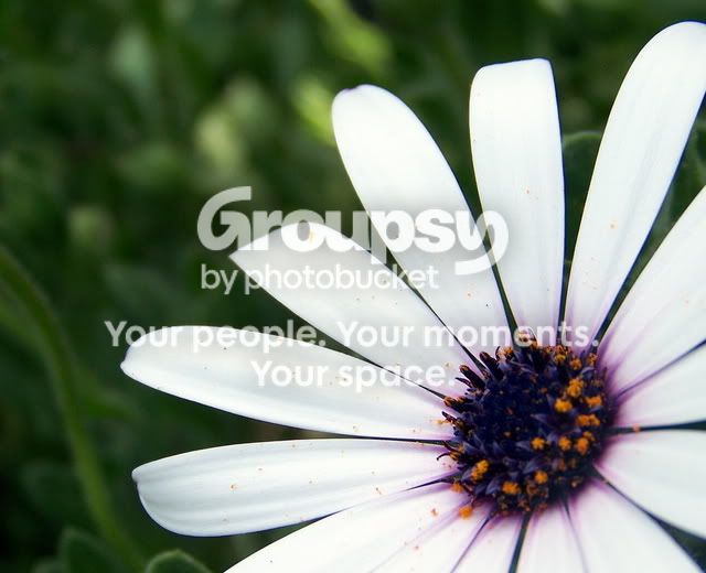 100_8356.jpg