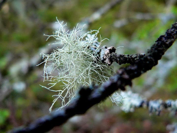 P1030308-1.JPG