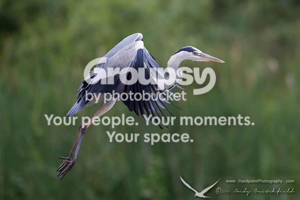 _HPP1041_zps765c1cc0.jpg