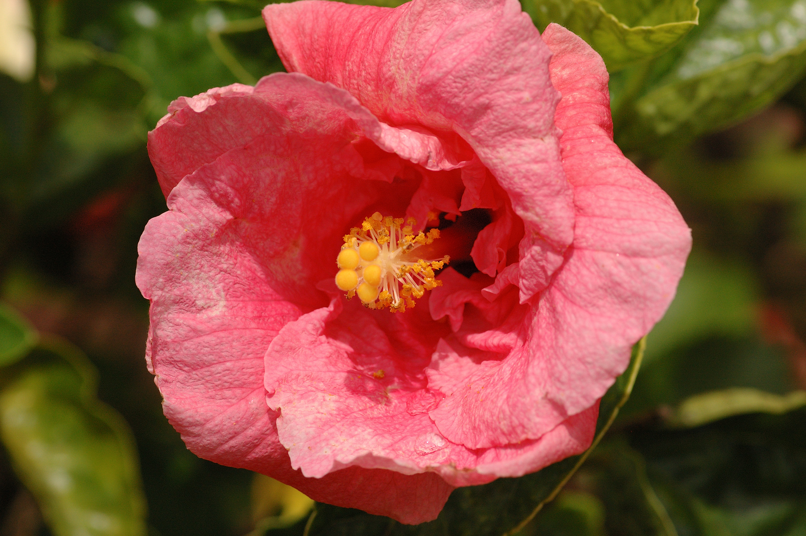 DSC_0101-X3.jpg