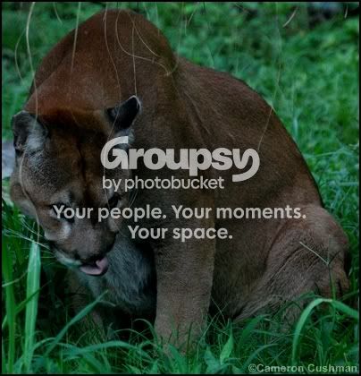 myspace143.jpg