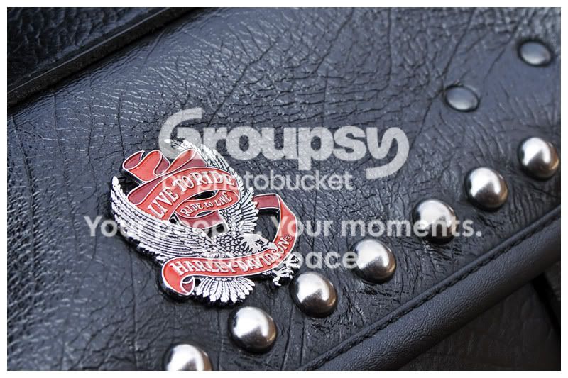 Live-to-ride-Badge.jpg