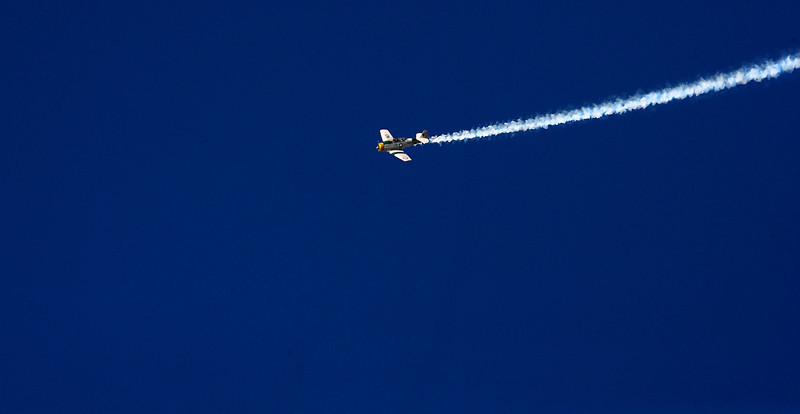 2CBL1630-L.jpg