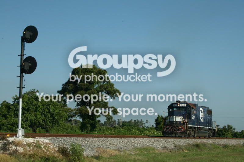 IMG_4353.jpg