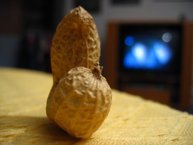 Erdnuss-L_2.jpg
