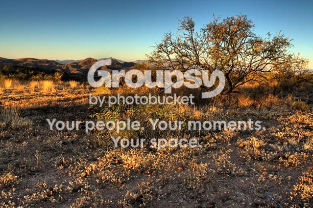 Mesquiteonridge4_MG_3672_3_4.jpg