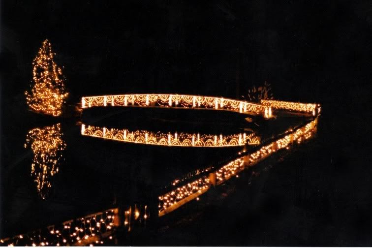 XmasLghtdBrdg001.jpg