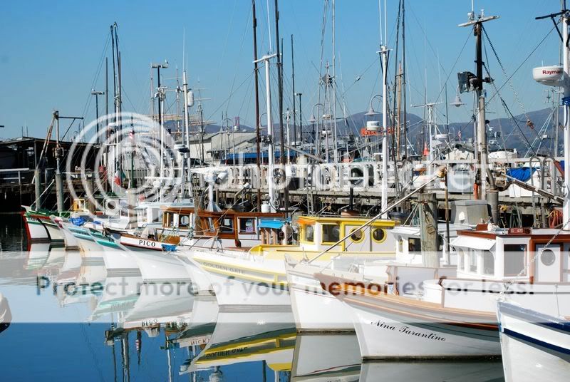 boats5.jpg