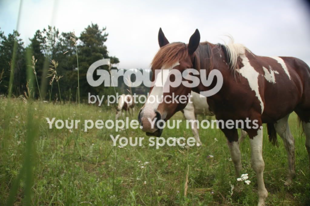 ImportedPhotos00012.jpg