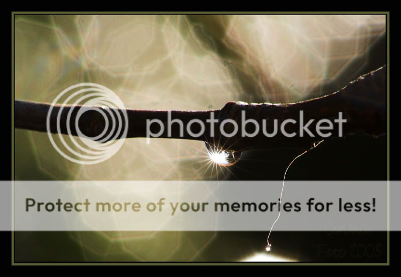 Thema_Bokeh_09.jpg