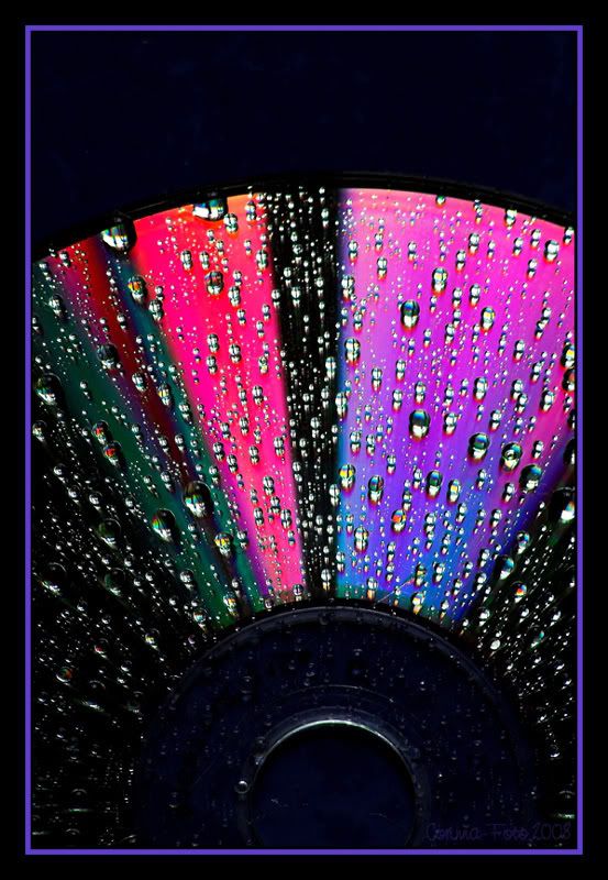 CD-droplet-colours_06.jpg