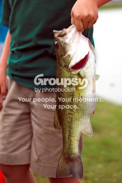 bass.jpg