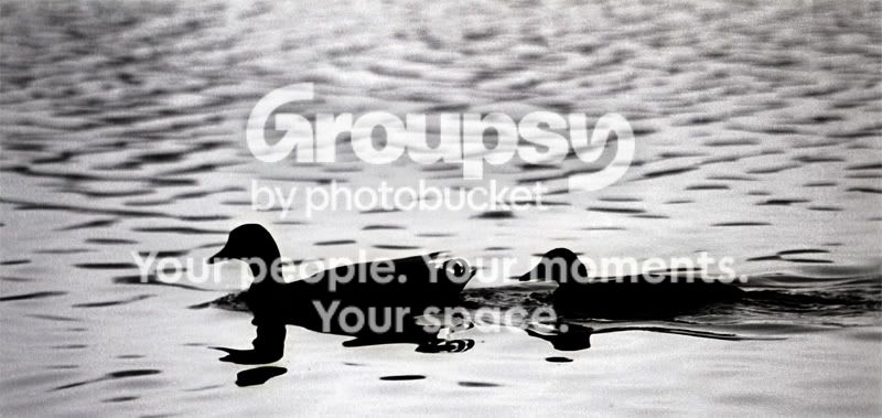 img024-pp-r.jpg