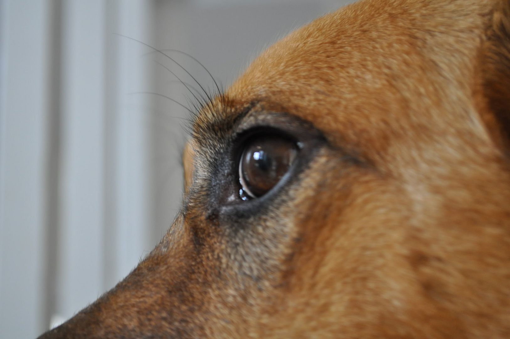DSC_0080.jpg