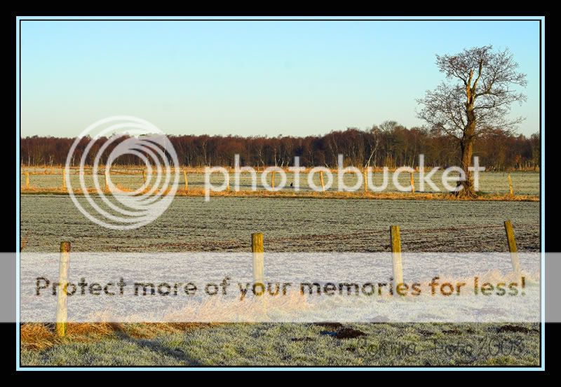 Thema_Bokeh_21.jpg