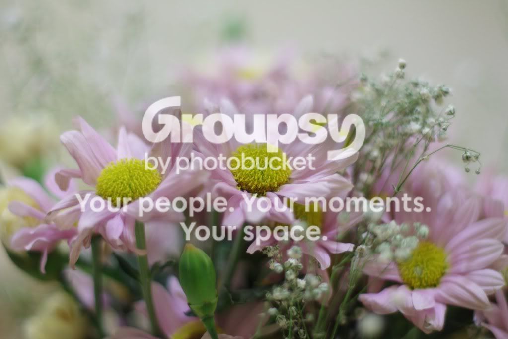 flowers.jpg